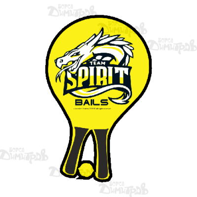 Бийчбол НЕОН дървен